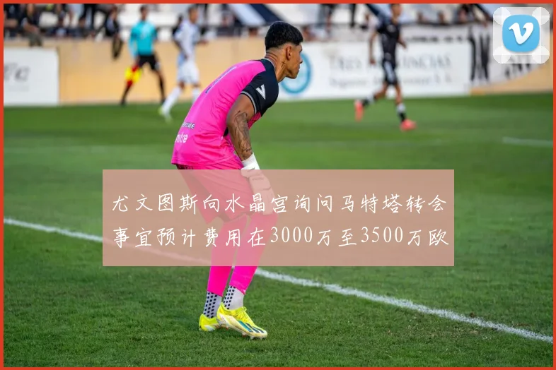 尤文图斯向水晶宫询问马特塔转会事宜预计费用在3000万至3500万欧元之间
