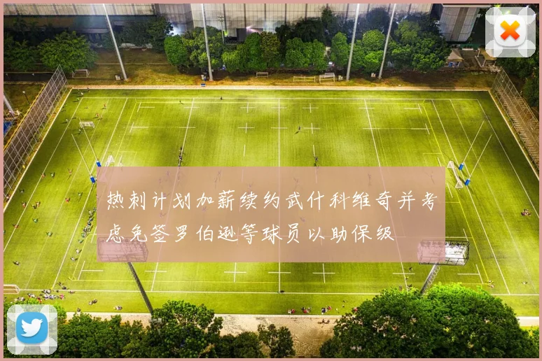 热刺计划加薪续约武什科维奇并考虑免签罗伯逊等球员以助保级