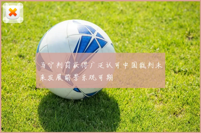 马宁判罚获得广泛认可中国裁判未来发展前景乐观可期